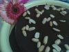 Eu Fiz Bolo Extra-Chocolate-180613-0033.jpg