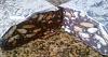 Eu Fiz Salame de Chocolate-25062013754s.jpg