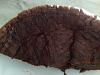 Eu Fiz Bolo de Chocolate Super H�mido-image.jpg