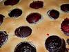 Eu Fiz Clafoutis de Ameixas-p7250074.jpg