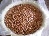 Eu Fiz Tarte Cremosa de Morangos - Morango-imgp2824.jpg