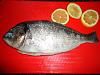 Eu Fiz Dourada ao Sal-dsc01135.jpg