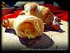 Eu Fiz Croissants Recheados Com Creme Arom�tico-sam_0586.jpg