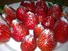 Eu Fiz Carr� de Borrego no Forno-imagem-055.jpg