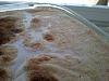 Eu Fiz Bacalhau com Natas-dsc_0677.jpg