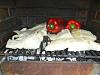 Eu Fiz Bacalhau Lascado na Brasa-dsc01787.jpg