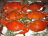 Eu Fiz Caranguejos-img_4973-nome.jpg