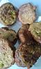 Eu Fiz Pataniscas de Legumes-004-3-.jpg.jpg
Visualiza��es: 235
Tamanho: 36.7 KB
ID:	70452