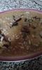 Eu Fiz Feijoada de Carnaval-003-2-.jpg.jpg
Visualiza��es: 218
Tamanho: 24.6 KB
ID:	70480
