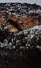 Eu Fiz P�o de L� com Pepitas de Chocolate-004-2-.jpg.jpg
Visualiza��es: 167
Tamanho: 33.2 KB
ID:	70608