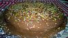 Eu Fiz Bimby - Bolo de Chocolate Bomb�stico-wp_20150213_15_04_55_pro.jpg