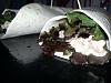 Eu Fiz Wraps de Atum-20150629_192935.jpg