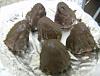 Eu Fiz Pir�mides de Chocolate - Aproveitamentos-hpim1114.jpg
