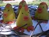 Eu Fiz Bolinhos de Massap�o - Amarelo-imgp3830.jpg