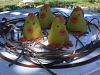 Eu Fiz Bolinhos de Massap�o - Amarelo-imgp3827.jpg