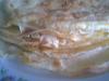 Eu Fiz Crepes Simples (com recheio de Mel�o)-img431.jpg