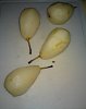 Peras com Chocolate-dsc01479.jpg