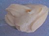 Gelado R�pido de Pessego-img002.jpg