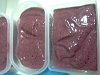 Gelado de Frutos Silvestres-img20110919_001.jpg
