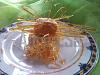 Gelado Cremoso de Baunilha com nozes Caramelizadas-snc00590.jpg