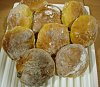 MFP - P�o com Bagas Goji e Am�ndoa-1.jpg