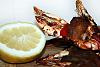 Espetadas Terra e Mar Perfumadas-espetadas-terra-mar-perfumadas-1.jpg