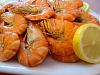 Camar�o Cozido-dsc09671111.jpg