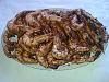 Gambas Grelhadas na Brasa-receitas-068.jpg