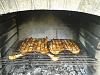 Gambas Grelhadas na Brasa-receitas-061.jpg