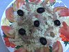 Massa Espiral com Carnes-massa-espiral-si-003.jpg
