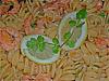 Fusilli com Camar�o, Alho e Coentros-fusilli-xl-camarao-alho-coentros1.jpg