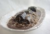 Arroz de Lampreia-2.jpg