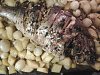 Pargo no Forno-foto0032.jpg