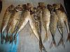 Carapaus Fritos em Azeite-dsc01391.jpg