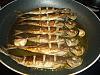 Carapaus Fritos em Azeite-dsc01400.jpg
