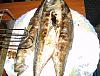 Carapaus com Molho � Espanhola-carapaus-molho-espanhola.jpg
