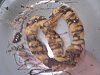 Pretzel-foto0449.jpg