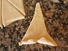 Croissants-p3260015.jpg