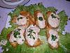 Filetes de Pescada com Molho de Camar�o-filetes-pescada-molho-camarao-sandra-batista.jpg