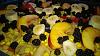 Pizza Tropical-wp_20140910_19_54_06_pro.jpg