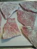 Escalopes Panados-dsc01129.jpg