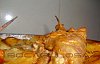 F�veras Recheadas com Queijo-feveras-recheadas-3.jpg