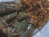 F�gado de Porco com Cebola-dscf2773.jpg