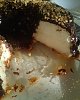 Pudim de Claras II-dsc01049.jpg