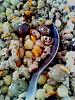 Salada de Feij�o Frade com Atum-img_20130604_153246.jpg