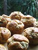 Muffins de Bacon e Cogumelos-imag1711.jpg