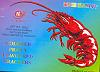 Prawn Crackers (H�stias de Camar�o)-hostias-camarao.jpg