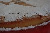Torta de Santiago-3.jpg