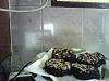 Salame de Chocolate II-img000045.jpg