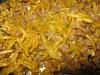 Carne Picada � Br�s-img_2891.jpg
